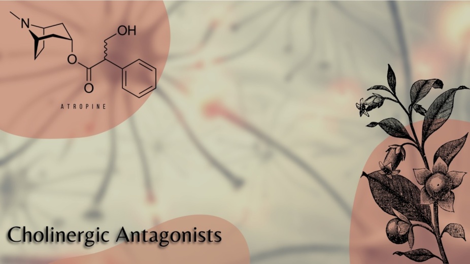 Cholinergic Antagonists